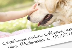 Полароид