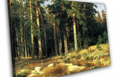 Корабельная роща