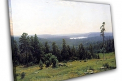 Лесные дали