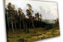 Опушка леса