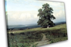 Среды долины ровныя